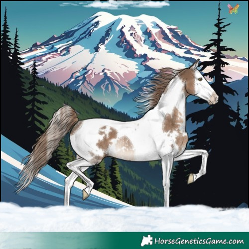 Horse Color:White Spotted Liver Red Dun Splash Tobiano Rabicano