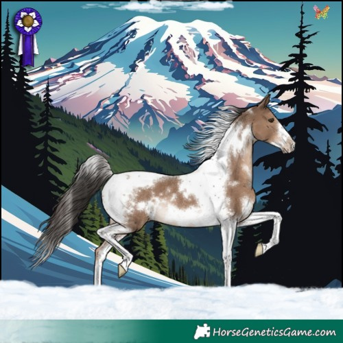 Horse Color:White Spotted Liver Red Dun Tobiano Frame Rabicano