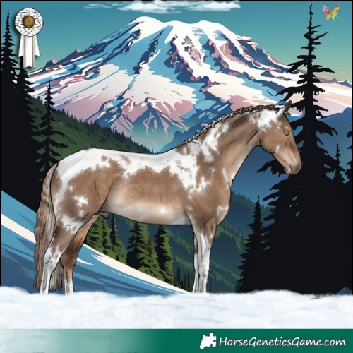 Horse Color:White Spotted Liver Red Dun Tobiano Rabicano