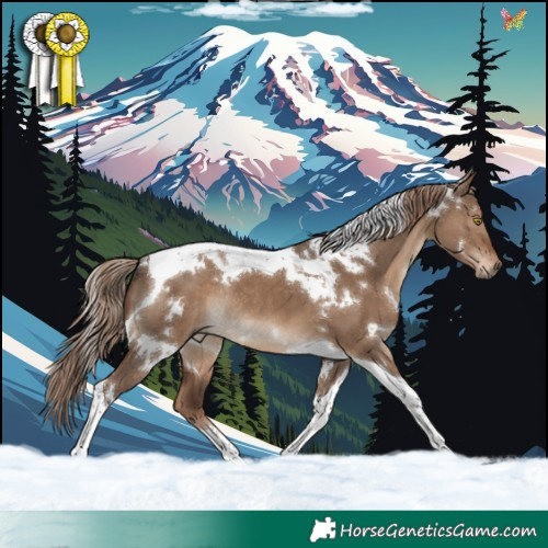 Horse Color:White Spotted Liver Red Dun Tobiano Rabicano