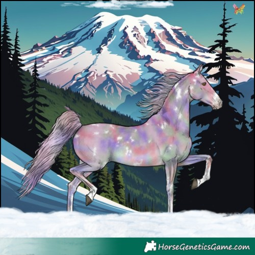 Horse Color:Nacre White Spotted Palomino Dun Sabino Rabicano