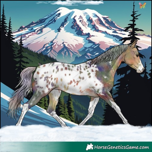 Horse Color:Nacre Silver Buckskin Sabino Tobiano Appaloosa Rabicano