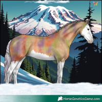 Horse Color:Nacre Palomino Splash
