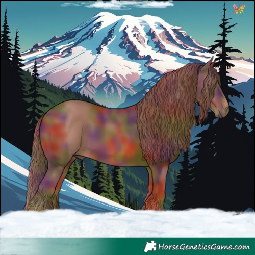 Horse Color:Nacre Chestnut 