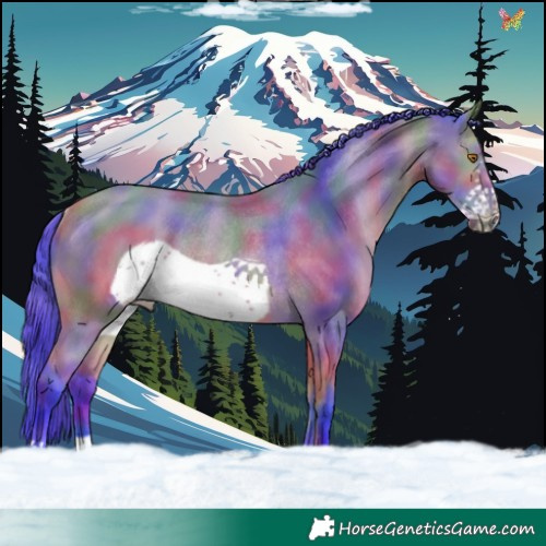 Horse Color:Nacre Watercolor Buckskin Frame Rabicano