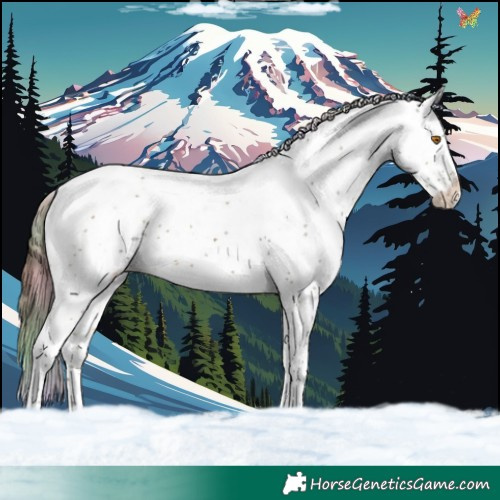 Horse Color:Nacre Buckskin Dun Sabino 