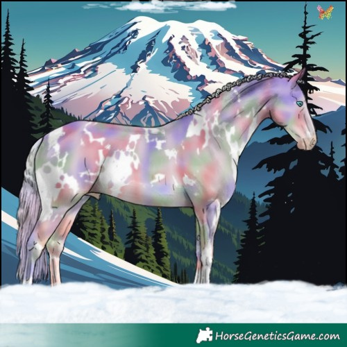 Horse Color:Nacre White Spotted Cremello