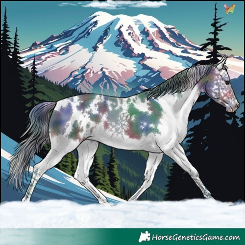 Horse Color:Nacre Watercolor White Spotted Bay Splash 