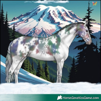 Horse Color:Nacre Watercolor White Spotted Bay Splash