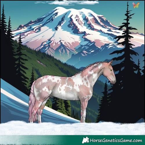 Horse Color:Watercolor White Spotted Brown Dun Rabicano 