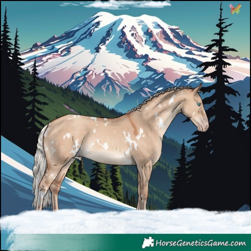 Horse Color:White Spotted Silver Sable Champagne Dun Rabicano 