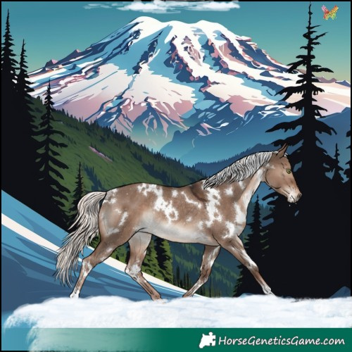 Horse Color:White Spotted Liver Red Dun Mushroom Rabicano 