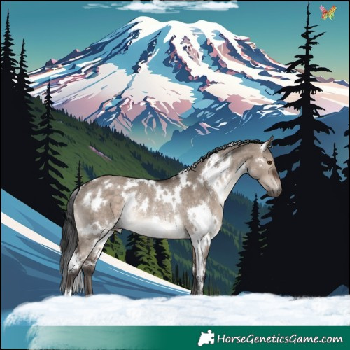Horse Color:White Spotted Brown Dun Mushroom Rabicano 