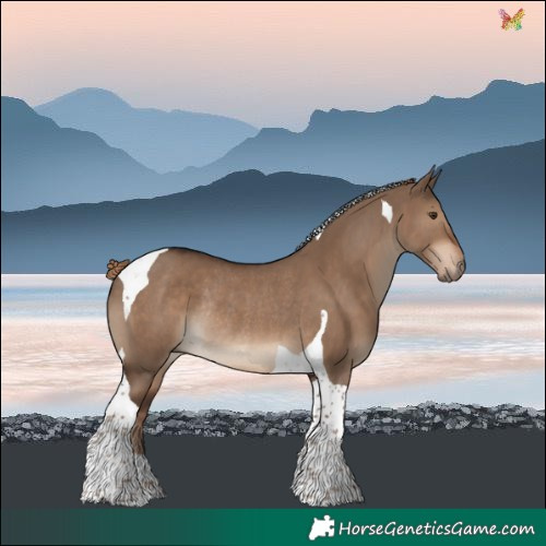 Horse Color:Liver Red Dun Tobiano Rabicano 