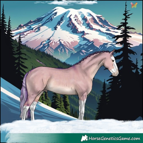 Horse Color:Watercolor Liver Red Dun Splash Rabicano 