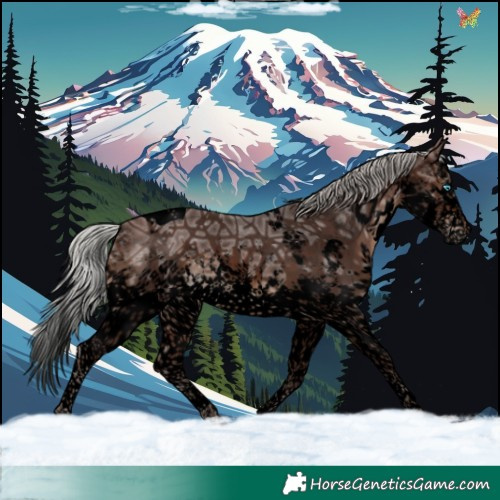 Horse Color:Void White Spotted Silver Brown Ice Splash Tobiano 