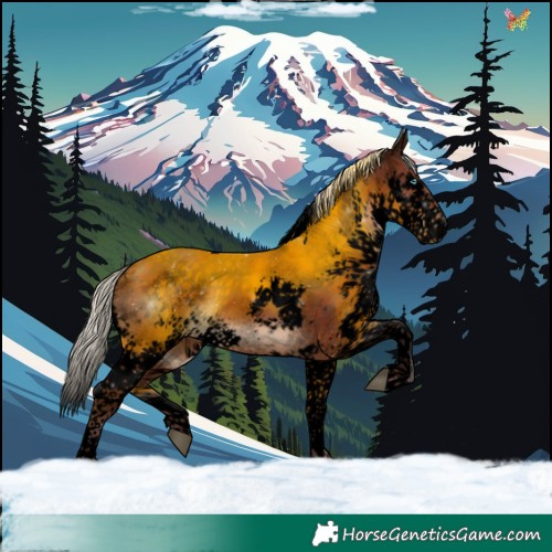Horse Color:Void Chocolate Silver Brown Splash Tobiano