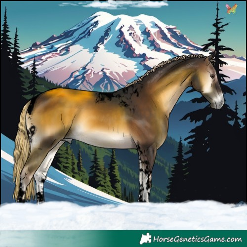 Horse Color:Void Chocolate Palomino Onyx Tobiano 