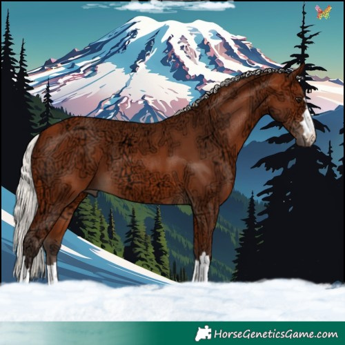 Horse Color:Silver Bay Ice 