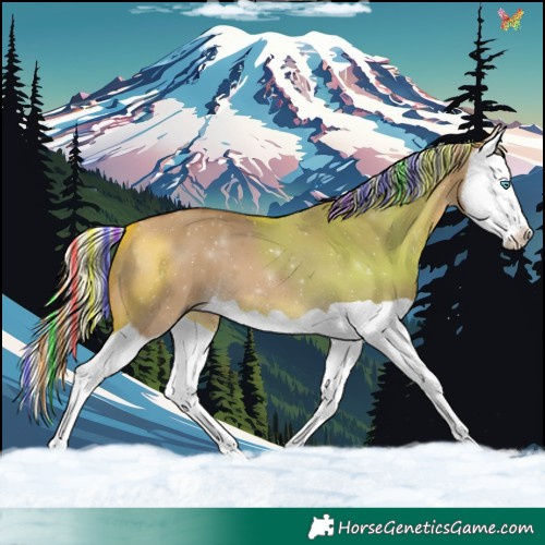 Horse Color:Painted Silver Buckskin Dun Splash 