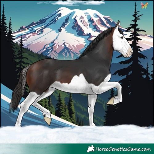 Horse Color:Brown Splash