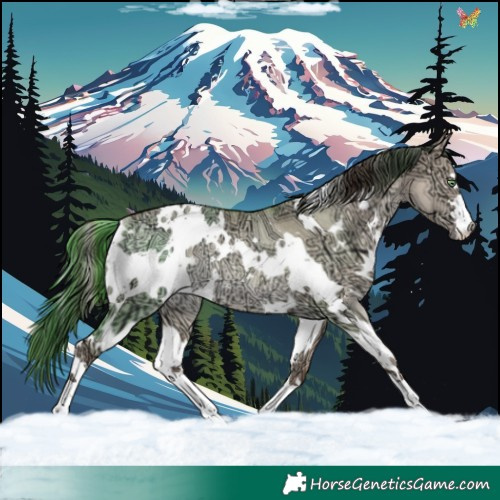 Horse Color:White Spotted Amber Champagne Ice Dun Rabicano 
