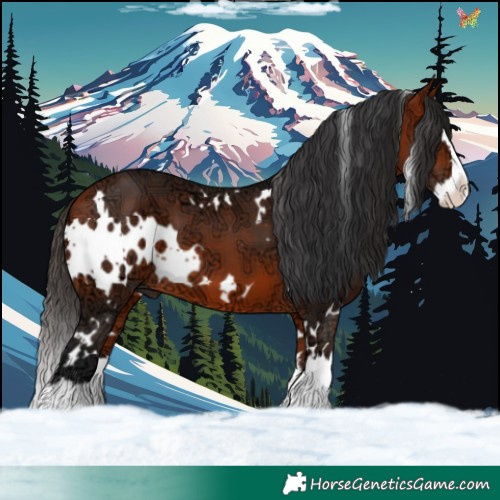 Horse Color:White Spotted Bay Ice Splash