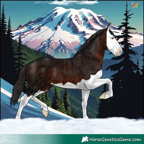 Horse Color:Brown Ice Splash 