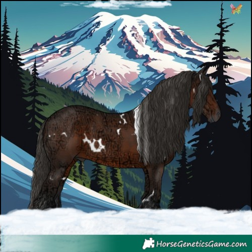 Horse Color:Gray White Spotted Liver Chestnut Ice