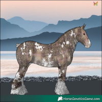 Horse Color:Plaid White Spotted Silver Brown Ice Dun Sabino