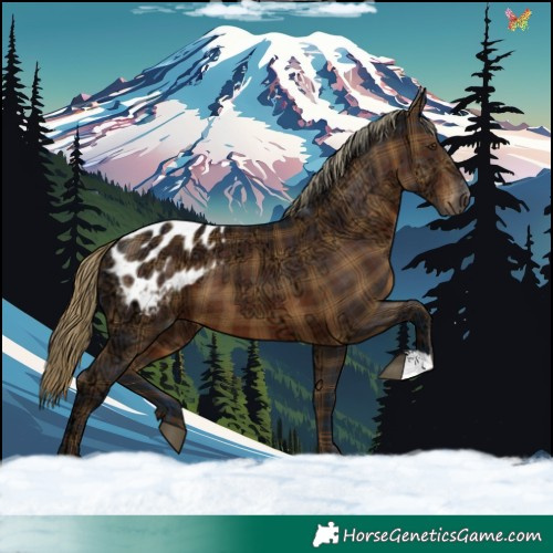 Horse Color:Gray Plaid Liver Chestnut Ice Blanket