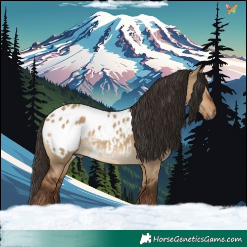 Horse Color:Gray Liver Red Dun Blanket