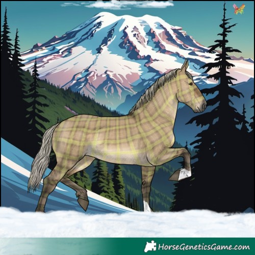 Horse Color:Gray Plaid  Silver Brown Dun 