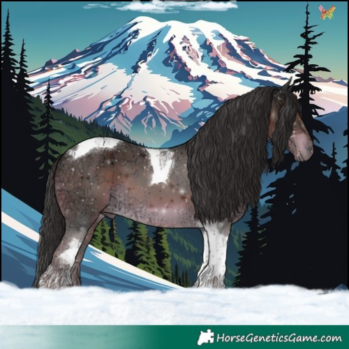 Horse Color:Liver Chestnut Ice Tobiano