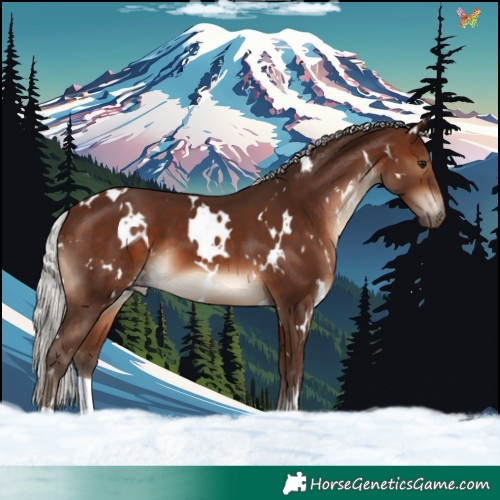 Horse Color:White Spotted Silver Brown 