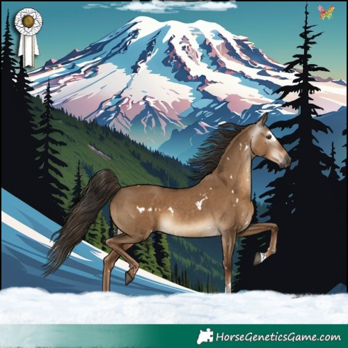 Horse Color:Gray White Spotted Liver Red Dun Rabicano 