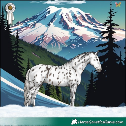 Horse Color:Gray White Spotted Silver Black Tobiano Appaloosa