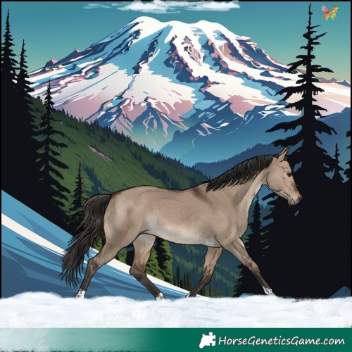 Horse Color:Brown Dun Tobiano