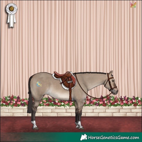 Horse Color:Brown Dun Tobiano 