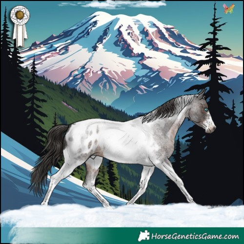 Horse Color:Gray Brown Roan Tobiano Frame Blanket 