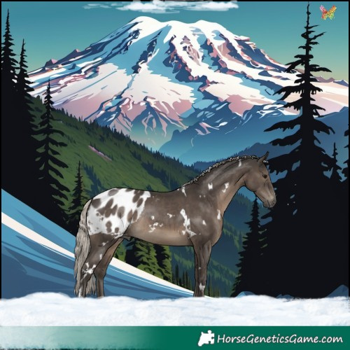 Horse Color:Gray White Spotted Silver Black Blanket Rabicano