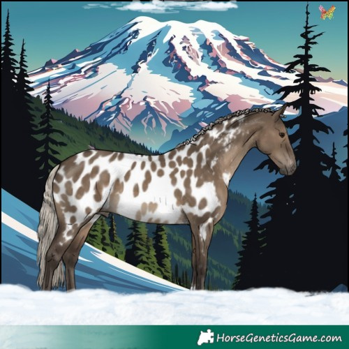 Horse Color:Gray Silver Grullo Tobiano Near Leopard 