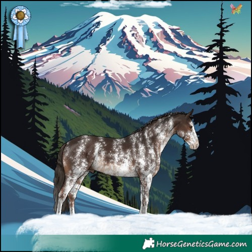Horse Color:Liver Chestnut Sabino Splash