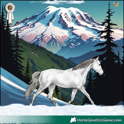 Horse Color:White Spotted Silver Black Near Fewspot Rabicano
