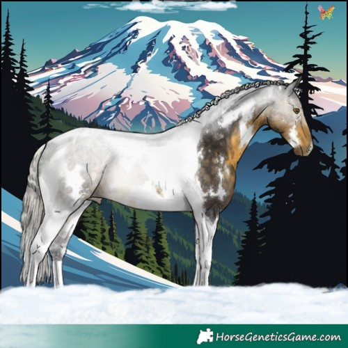 Horse Color:White Spotted Silver Buckskin Tobiano