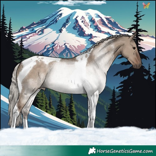 Horse Color:Silver Grullo Tobiano 