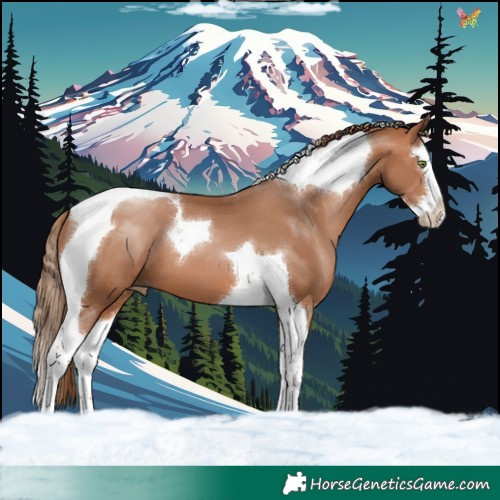 Horse Color:Bay Pearl Splash Tobiano