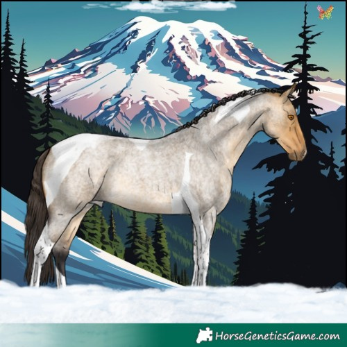 Horse Color:Buckskin Roan Dun Tobiano 