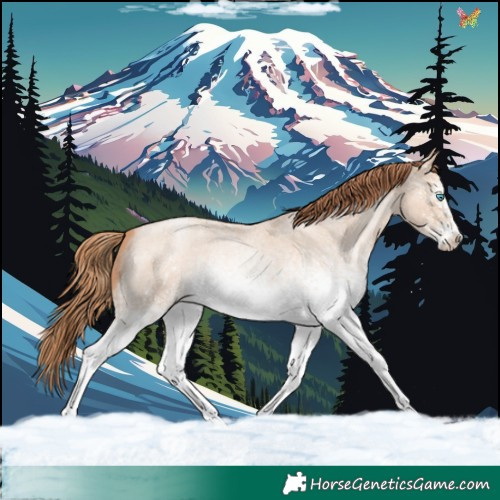 Horse Color:White Spotted Sable Champagne Roan Pearl