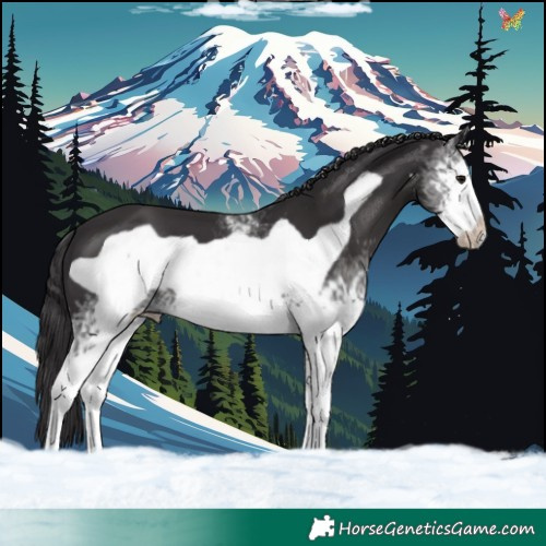 Horse Color:White Spotted Smoky Black Frame
